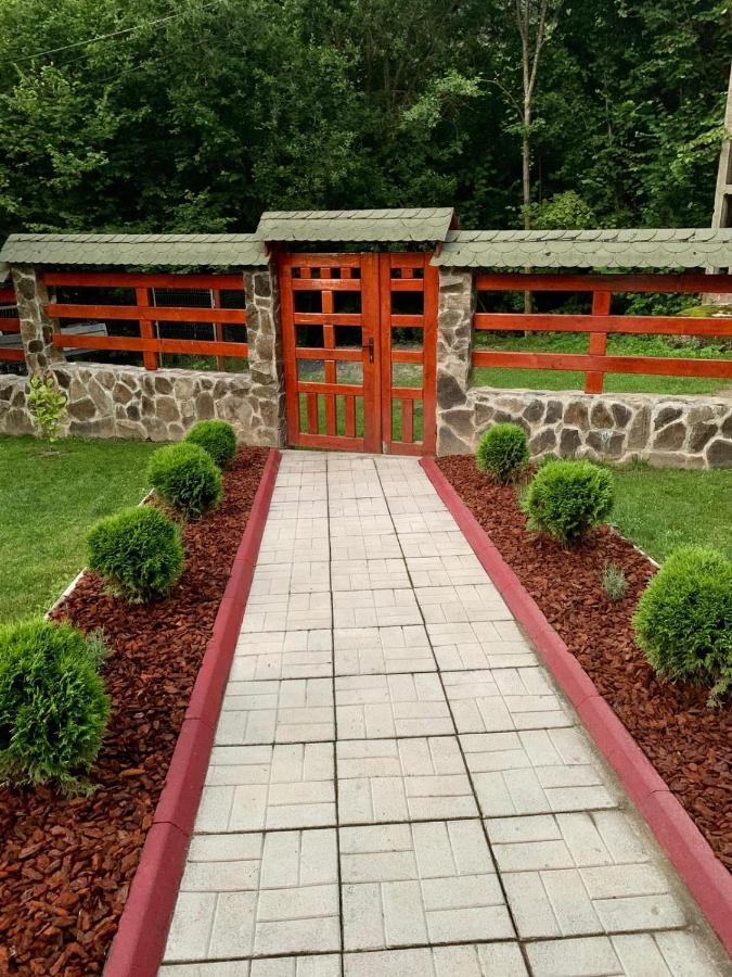 Cabana Nisipoasa Rîu de Mori 외부 사진