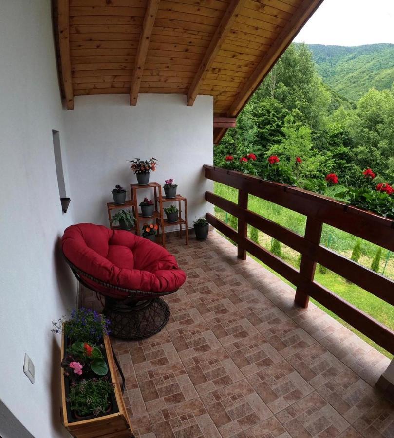 Cabana Nisipoasa Rîu de Mori 외부 사진