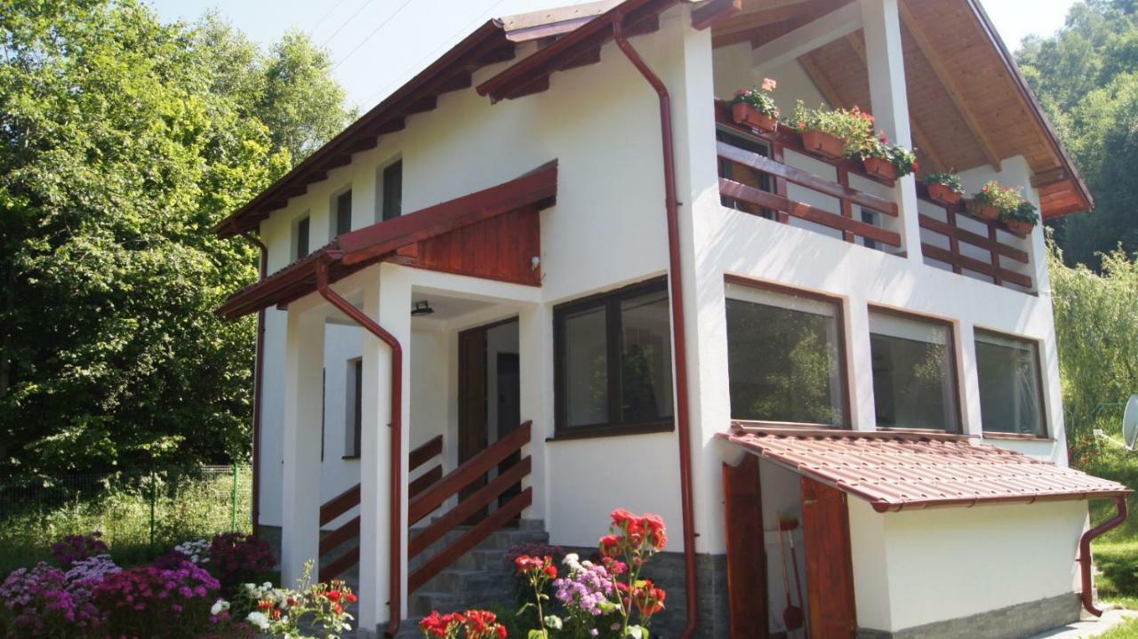 Cabana Nisipoasa Rîu de Mori 외부 사진